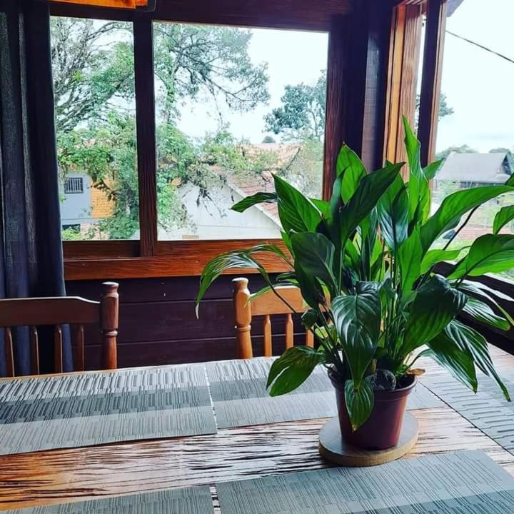 Готель Refugio Jardim Mariana Канела Екстер'єр фото